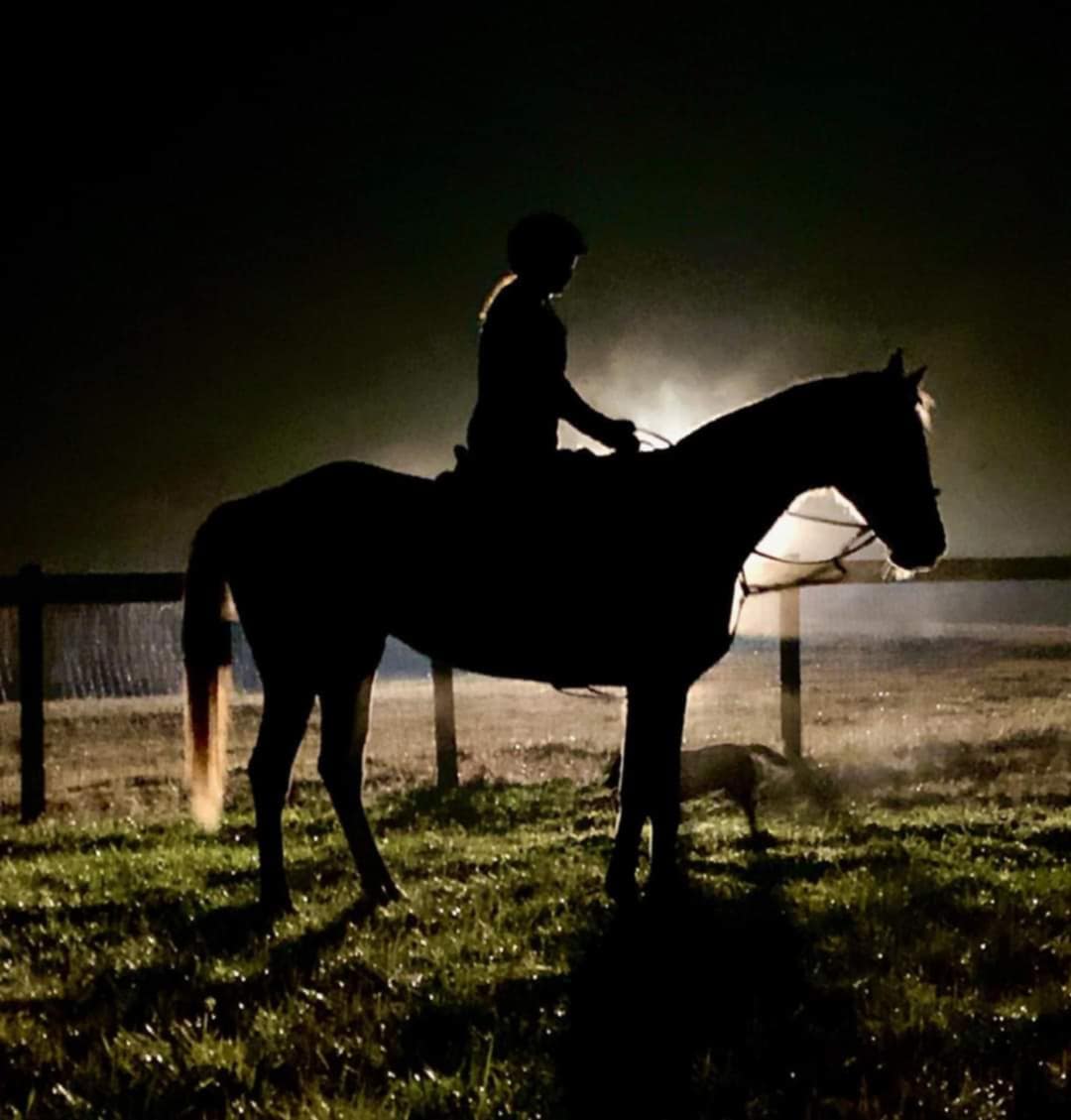 A horse and rider in a beautiful landscape